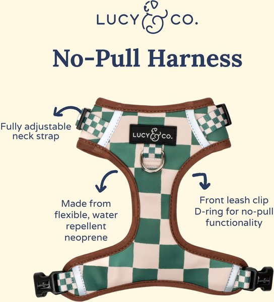Lucy & Co. The You're a Square No-Pull Dog Harness, Green