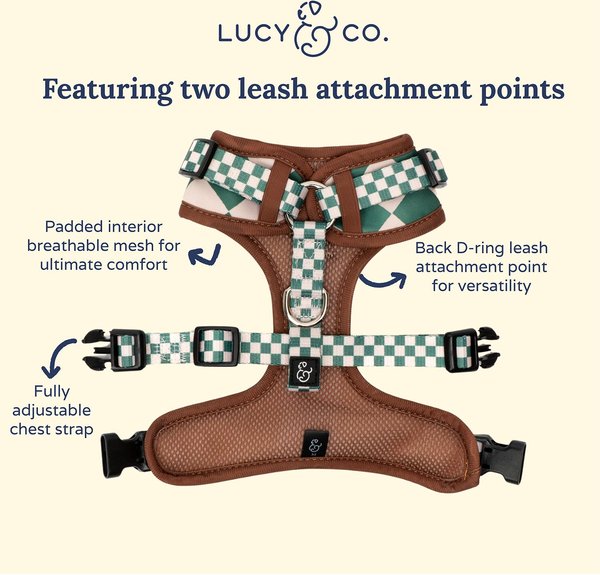 Lucy & Co. The You're a Square No-Pull Dog Harness, Green