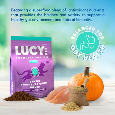 Show full view: Lucy Pet Products Chicken, Brown Rice & Pumpkin Limited Ingredient Diet Cat Food, 10-lbs bag slide 4 of 9