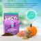 Show in main carousel: Lucy Pet Products Chicken, Brown Rice & Pumpkin Limited Ingredient Diet Cat Food, 4-lb bag slide 4 of 9