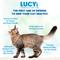 Show in main carousel: Lucy Pet Products Chicken, Brown Rice & Pumpkin Limited Ingredient Diet Cat Food, 4-lb bag slide 6 of 9