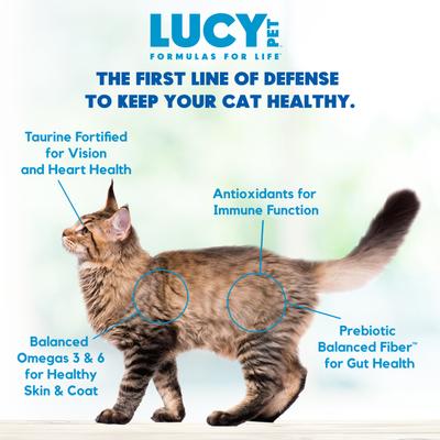 Show full view: Lucy Pet Products Chicken, Brown Rice & Pumpkin Limited Ingredient Diet Cat Food, 4-lb bag slide 6 of 9