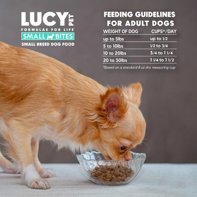 Show full view: Lucy Pet Products Chicken, Brown Rice & Pumpkin Limited Ingredient Diet Small Bites Dog Food, 4.5-lbs bag slide 8 of 9