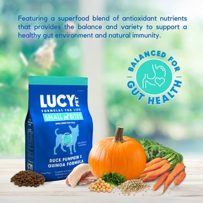Show full view: Lucy Pet Products Duck Pumpkin & Quinoa Small Bites Dog Food, 4.5-lbs bag slide 3 of 7