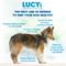 Show in main carousel: Lucy Pet Products Formulas for Life Grain-Free Salmon, Pumpkin & Quinoa Formula Dry Dog Food, 12-lb bag slide 4 of 11