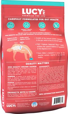 Show full view: Lucy Pet Products Formulas for Life Grain-Free Salmon, Pumpkin & Quinoa Formula Dry Dog Food, 12-lb bag slide 3 of 11
