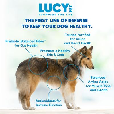 Show full view: Lucy Pet Products Formulas for Life Grain-Free Salmon, Pumpkin & Quinoa Formula Dry Dog Food, 4.5-lb bag slide 4 of 11