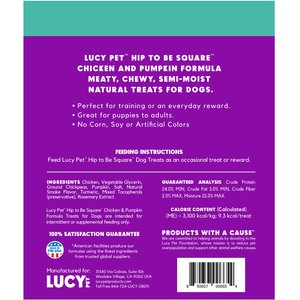 Lucy Pet Products Hip To Be Square Chicken & Pumpkin Formula Grain-Free Dog Treats, 6-oz bag