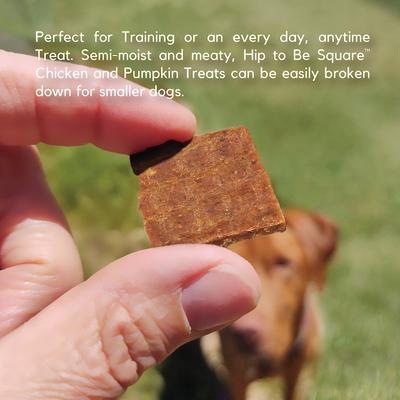 Show full view: Lucy Pet Products Hip To Be Square Chicken & Pumpkin Formula Grain-Free Dog Treats, 6-oz bag slide 4 of 10