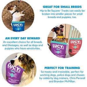 Lucy Pet Products Hip To Be Square Chicken & Pumpkin Formula Grain-Free Dog Treats, 6-oz bag