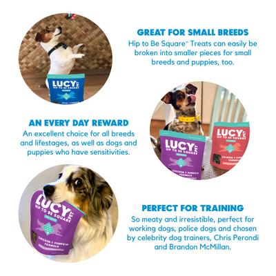 Show full view: Lucy Pet Products Hip To Be Square Chicken & Pumpkin Formula Grain-Free Dog Treats, 6-oz bag slide 5 of 10