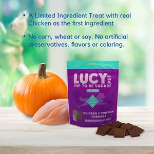 Lucy Pet Products Hip To Be Square Chicken & Pumpkin Formula Grain-Free Dog Treats, 6-oz bag