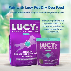 Lucy Pet Products Hip To Be Square Chicken & Pumpkin Formula Grain-Free Dog Treats, 6-oz bag