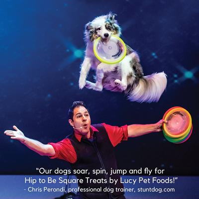 Show full view: Lucy Pet Products Hip To Be Square Chicken & Pumpkin Formula Grain-Free Dog Treats, 6-oz bag slide 8 of 10
