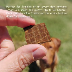 Lucy Pet Products Hip To Be Square Duck & Pumpkin Formula Grain-Free Dog Treats, 6-oz bag