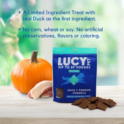 Show full view: Lucy Pet Products Hip To Be Square Duck & Pumpkin Formula Grain-Free Dog Treats, 6-oz bag slide 6 of 10