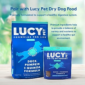 Lucy Pet Products Hip To Be Square Duck & Pumpkin Formula Grain-Free Dog Treats, 6-oz bag