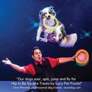 Lucy Pet Products Hip To Be Square Duck & Pumpkin Formula Grain-Free Dog Treats, 6-oz bag