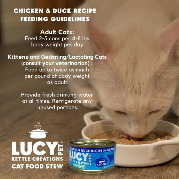 Lucy Pet Products Kettle Creations Chicken Recipe in Gravy Wet Cat Food, 2.47-oz can, case of 12