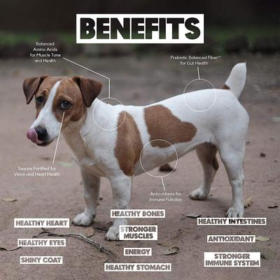 Show full view: Lucy Pet Products Limited Ingredient Diet Chicken, Brown Rice & Pumpkin Formula Dry Dog Food, 12-lb bag slide 6 of 11