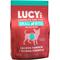 Show in main carousel: Lucy Pet Products Salmon, Pumpkin & Quinoa Small Bites Dog Food, 4.5-lbs bag slide 1 of 8