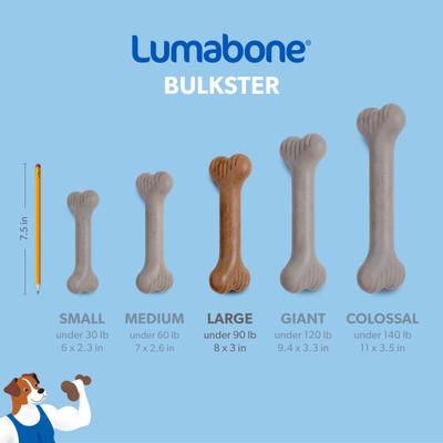 Show full view: Lumabone Bulkster Bacon Flavor Dog Toy, Large slide 7 of 9