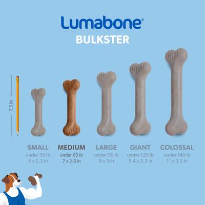 Show full view: Lumabone Bulkster Bacon Flavor Dog Toy, Medium slide 6 of 8