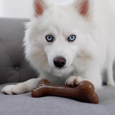 Show full view: Lumabone Bulkster Bacon Flavor Dog Toy, Small slide 5 of 8