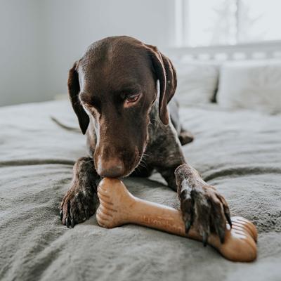 Show full view: Lumabone Bulkster Bacon Flavor Dog Toy, X-Large slide 6 of 9