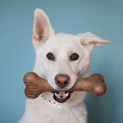 Lumabone Bulkster Beef Flavor Dog Toy, Medium slide 2 of 6