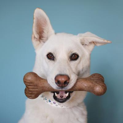 Show full view: Lumabone Bulkster Beef Flavor Dog Toy, Medium slide 2 of 8