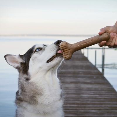 Show full view: Lumabone Bulkster Beef Flavor Dog Toy, Medium slide 5 of 8