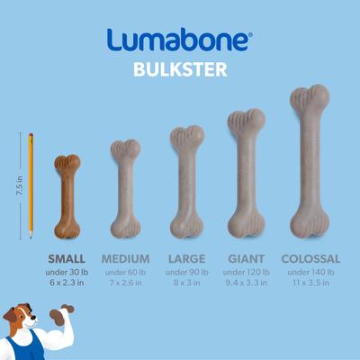 Show full view: Lumabone Bulkster Beef Flavor Dog Toy, Small slide 6 of 8