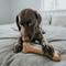 Show in main carousel: Lumabone Bulkster Beef Flavor Dog Toy, X-Large slide 5 of 8