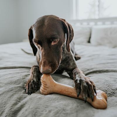 Show full view: Lumabone Bulkster Beef Flavor Dog Toy, X-Large slide 5 of 8