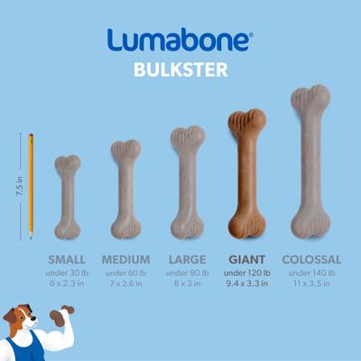 Show full view: Lumabone Bulkster Beef Flavor Dog Toy, X-Large slide 6 of 8