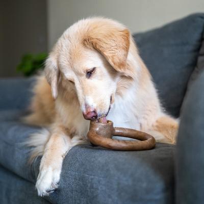 Show full view: Lumabone Ring-Stuffer Bacon Flavor Dog Toy, Large slide 5 of 8