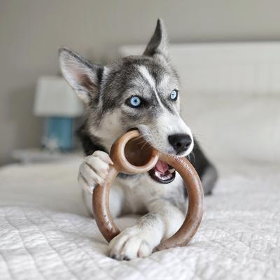 Show full view: Lumabone Ring-Stuffer Beef Flavor Dog Toy, Large slide 3 of 8