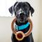 Show in main carousel: Lumabone Ring-Stuffer Beef Flavor Dog Toy, Medium slide 2 of 7