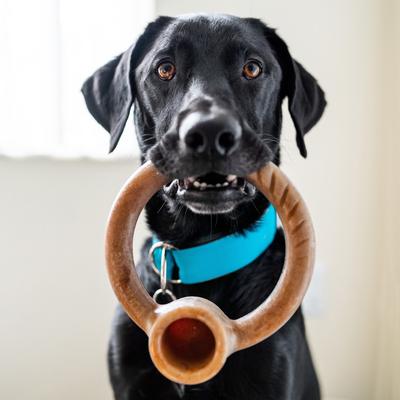 Show full view: Lumabone Ring-Stuffer Beef Flavor Dog Toy, Medium slide 2 of 7