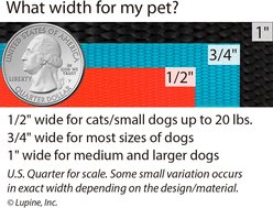 LupinePet Basics Nylon Standard Dog Collar, Black, Medium: 9 to 14-in neck, 3/4-in wide slide 2 of 7