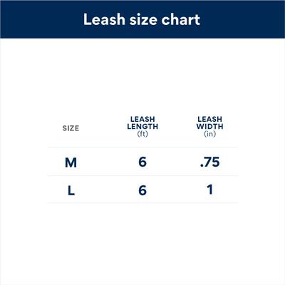 Show full view: LupinePet ECO Recycled Padded Handle Dog Leash, Berry, Medium: 6-ft long, 3/4-in wide slide 2 of 6