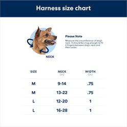 LupinePet Eco Standard Dog Collar, Berry, Medium: 13 to 22-in neck, 3/4-in wide slide 2 of 2