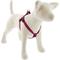 Show in main carousel: LupinePet Eco Step In Dog Harness, Berry, Medium: 15 to 21-in chest slide 1 of 2