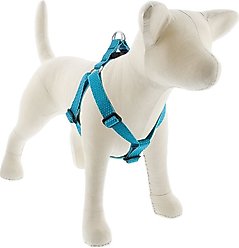 LupinePet ECO Recycled Step In Dog Harness, Tropical Sea, Medium: 19 to 28-in chest, 1-in wide