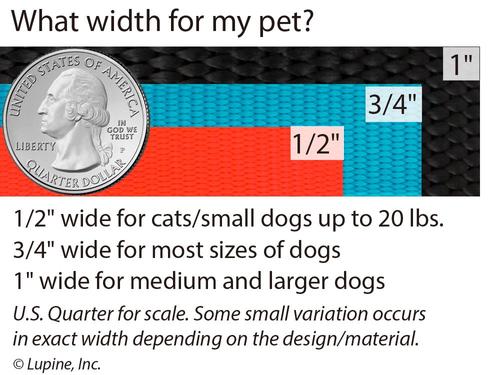 Show full view: LupinePet Originals Jelly Roll Nylon Standard Dog Collar, Medium: 13 to 22-in neck, 3/4-in wide slide 3 of 8