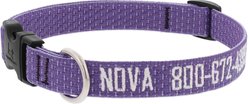 LupinePet Personalized ECO Recycled Dog Collar, Large: 15 to 25-in neck, 3/4-in wide, Lilac