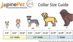 LupinePet Personalized ECO Recycled Dog Collar, Large: 15 to 25-in neck, 3/4-in wide, Mountain Lake slide 2 of 9