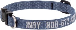 LupinePet Personalized ECO Recycled Dog Collar, Small: 10 to 16-in neck, 1/2-in wide, Mountain Lake