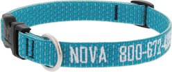 LupinePet Personalized ECO Recycled Tropical Sea Dog Collar, Large: 15 to 25-in neck, 3/4-in wide
